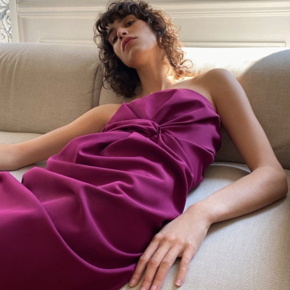 Zara New Draped Chic Dress